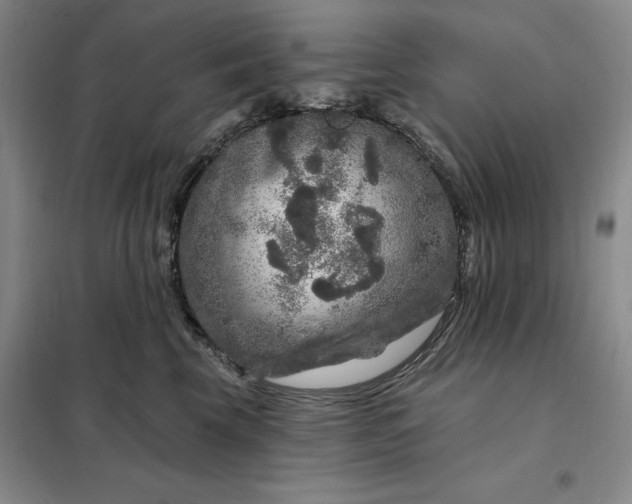 X0000098150569200805011410