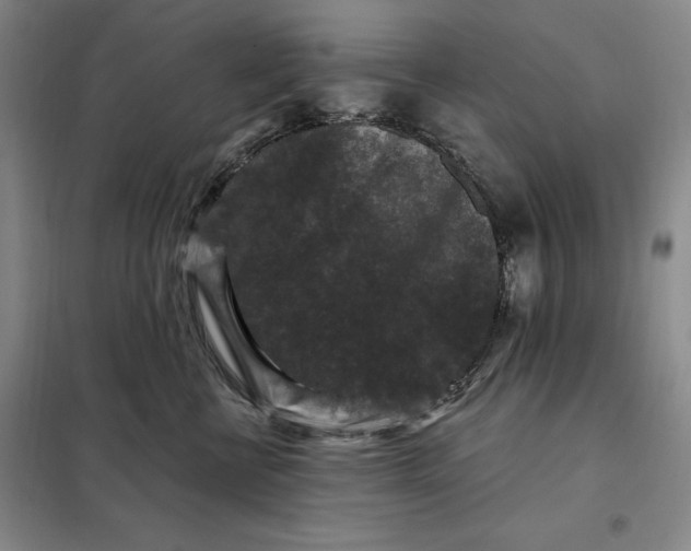 X0000098150570200805011410
