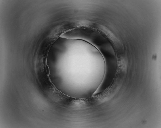 X0000098150572200805011410