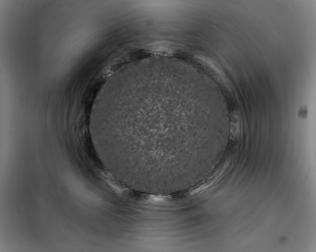 X0000098150573200805011410