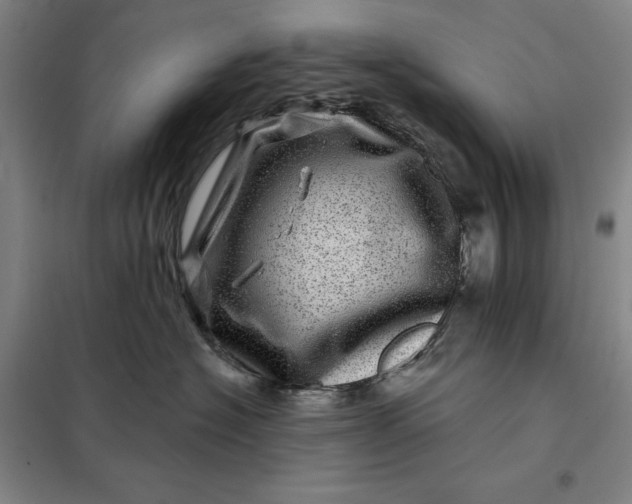 X0000098150574200805011410