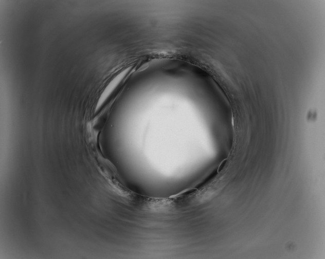 X0000098150576200805011411