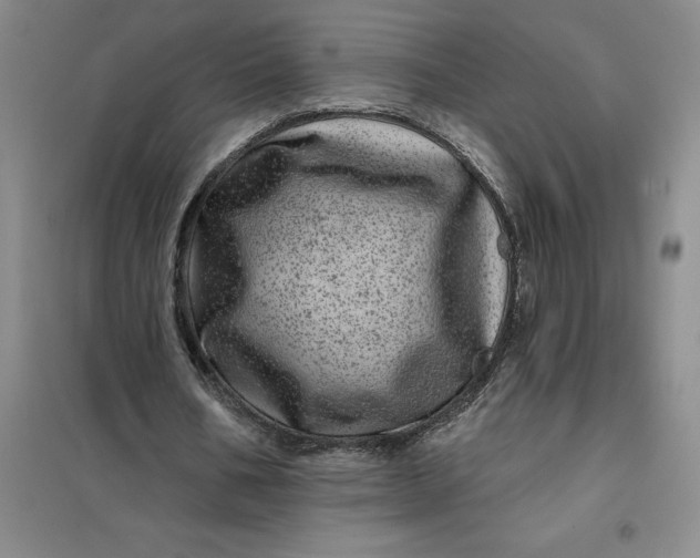 X0000098150578200805011410