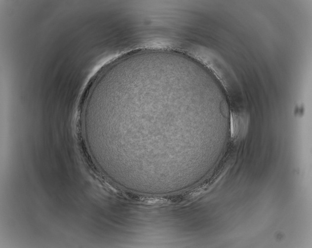 X0000098150579200805011410