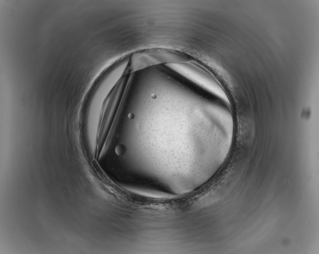 X0000098150580200805011410