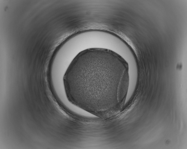 X0000098150581200805011410