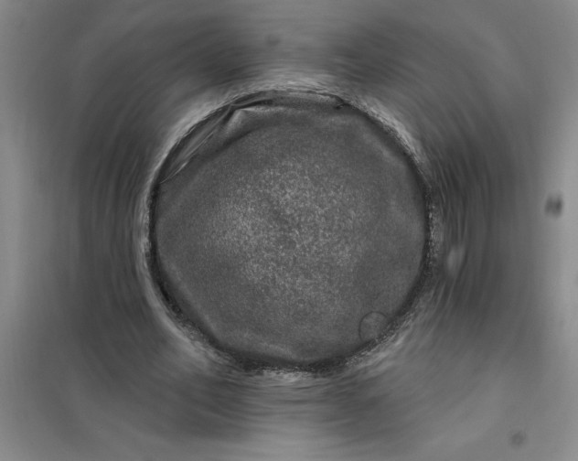 X0000098150582200805011410