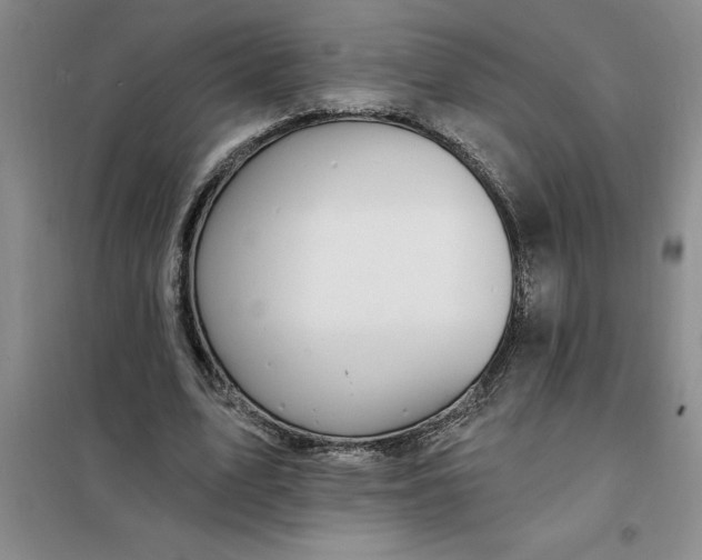 X0000098150583200805011410