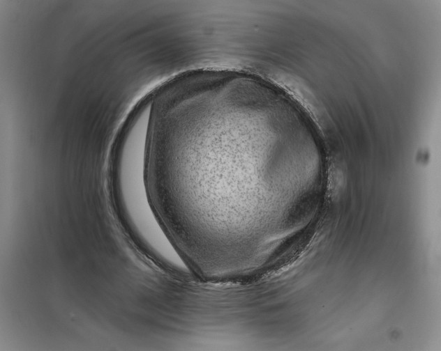 X0000098150584200805011410