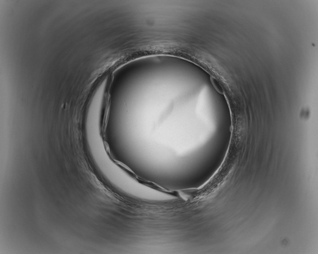 X0000098150585200805011410