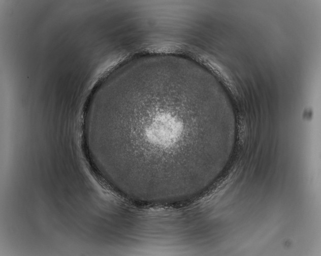 X0000098150586200805011410