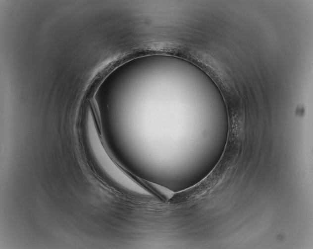 X0000098150587200805011410