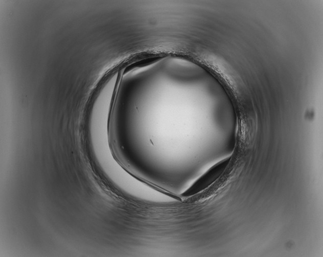 X0000098150588200805011410