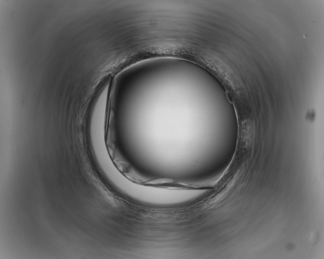 X0000098150589200805011410