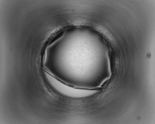 X0000098150592200805011409