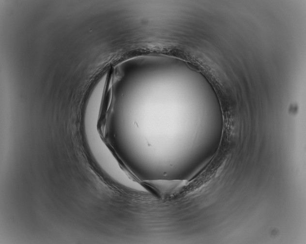 X0000098150593200805011409