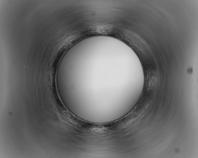 X0000098150595200805011409