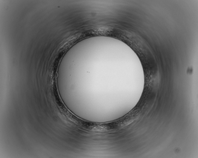 X0000098150599200805011409