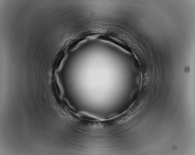 X0000098150600200805011409