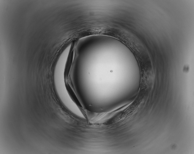 X0000098150601200805011409