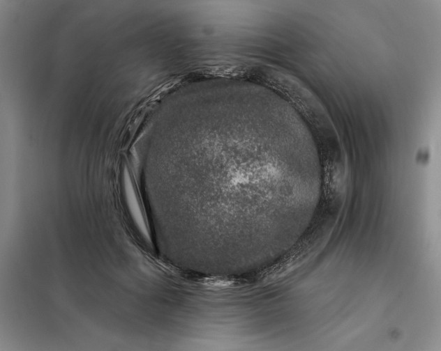 X0000098150602200805011409