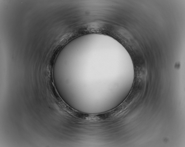 X0000098150603200805011409