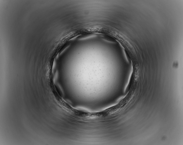 X0000098150604200805011409