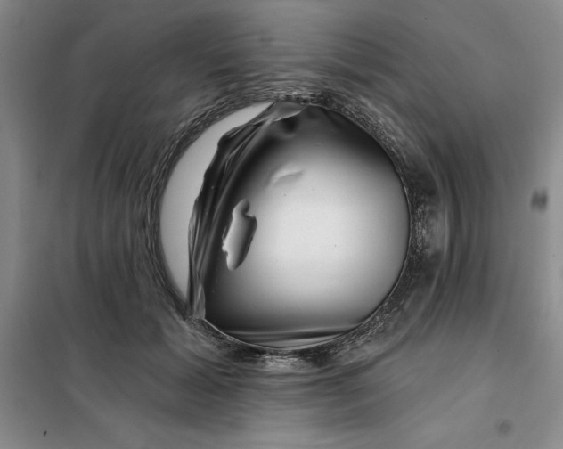 X0000098150605200805011409