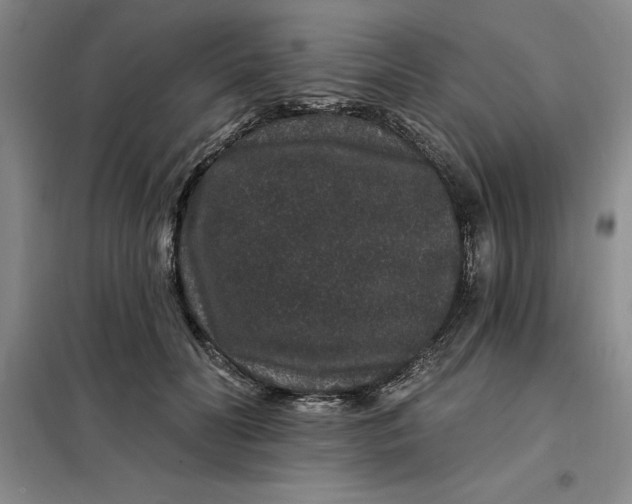 X0000098150606200805011409