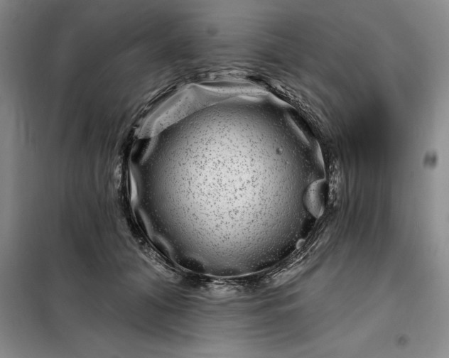 X0000098150608200805011409