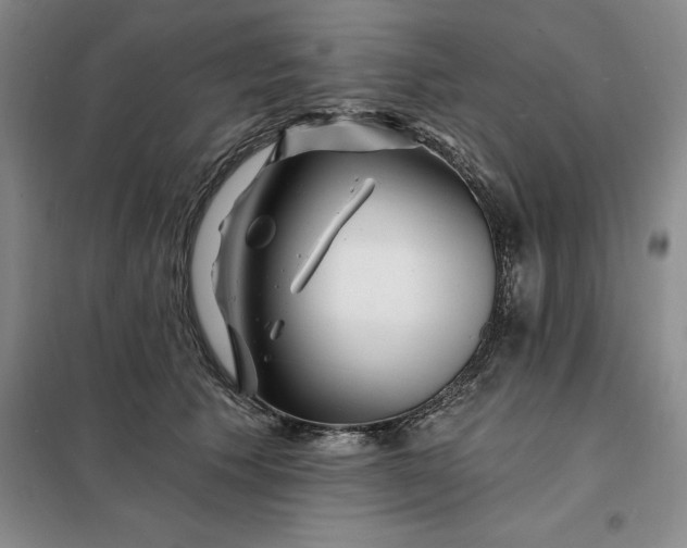 X0000098150609200805011409