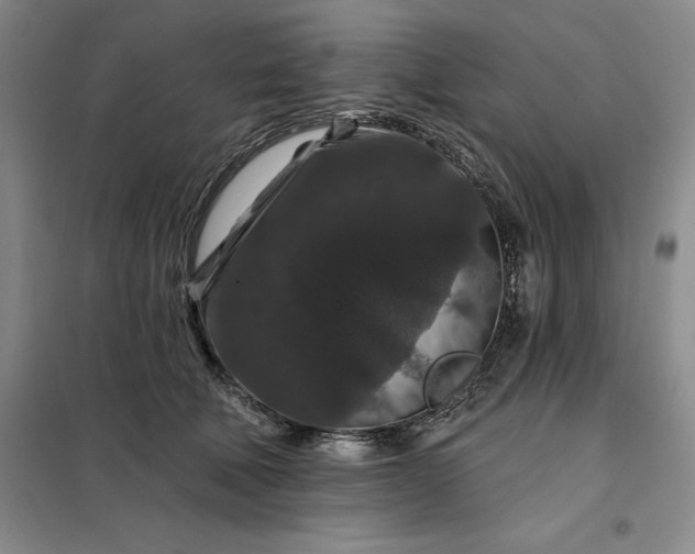 X0000098150610200805011409