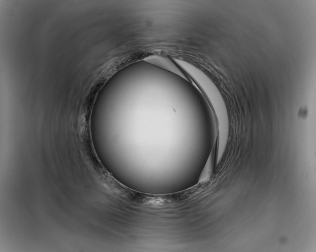 X0000098150611200805011409