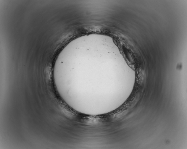 X0000098150612200805011409