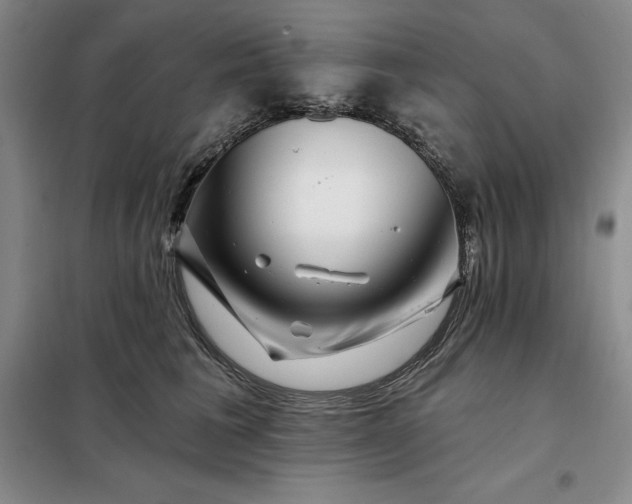 X0000098150613200805011409
