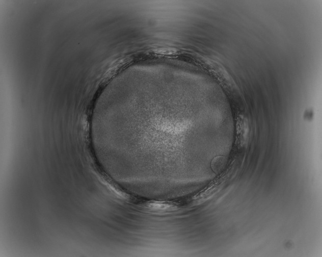 X0000098150614200805011409