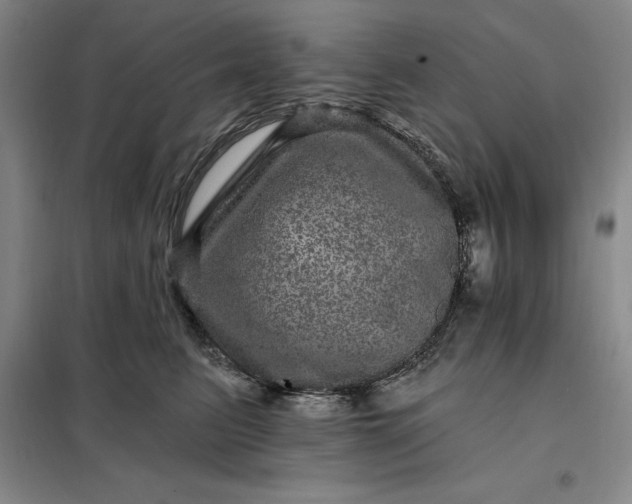 X0000098150615200805011409