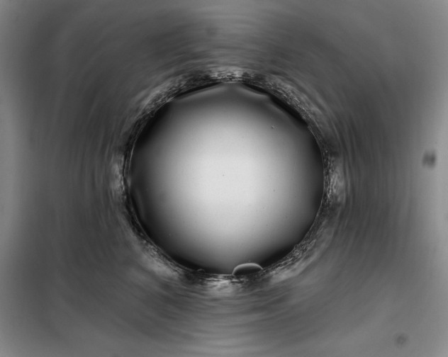 X0000098150616200805011409