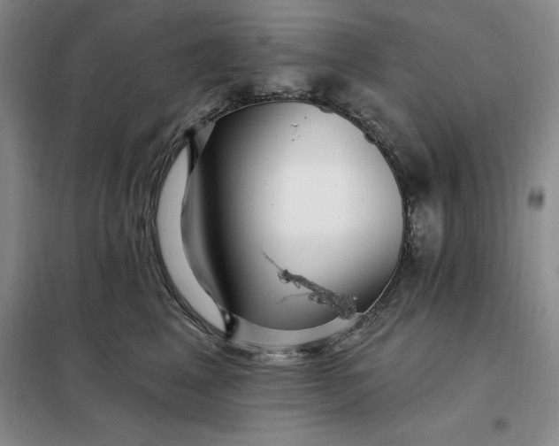 X0000098150617200805011409
