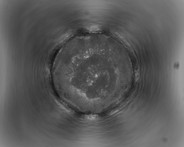 X0000098150618200805011409