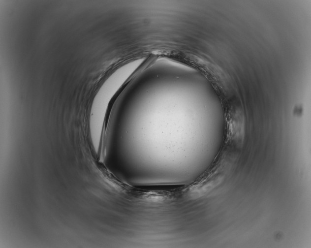 X0000098150620200805011409
