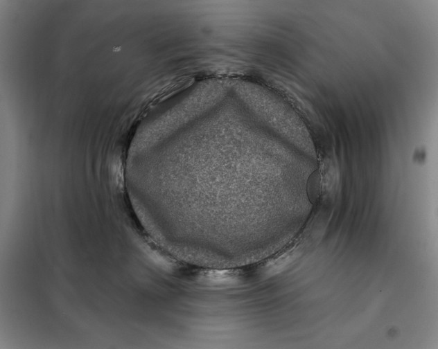 X0000098150622200805011409