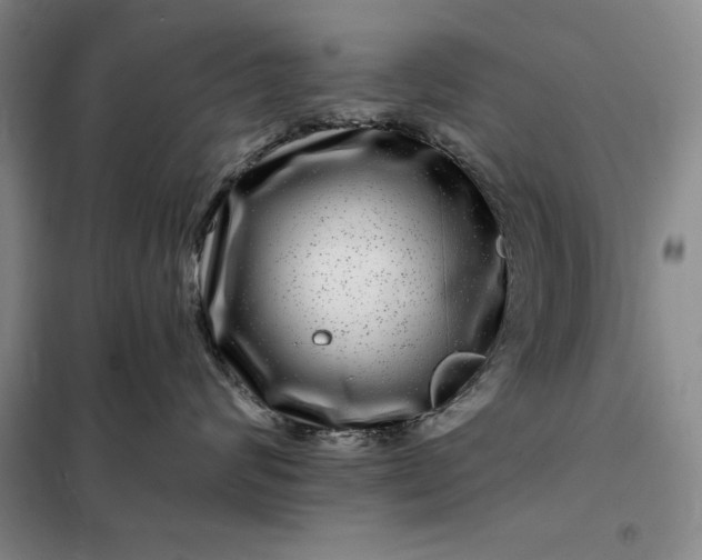 X0000098150624200805011409