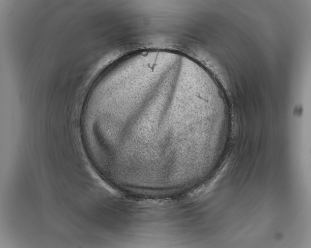 X0000098150625200805011408