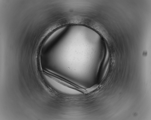 X0000098150626200805011408