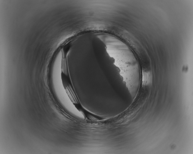 X0000098150627200805011408