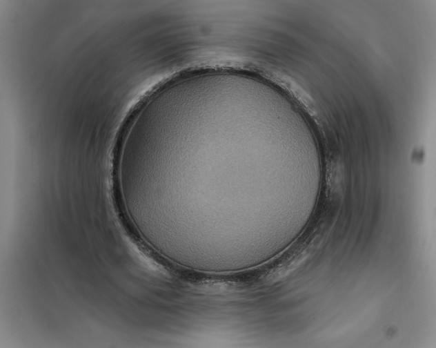 X0000098150629200805011408