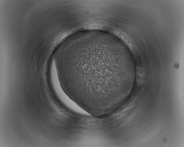 X0000098150631200805011408