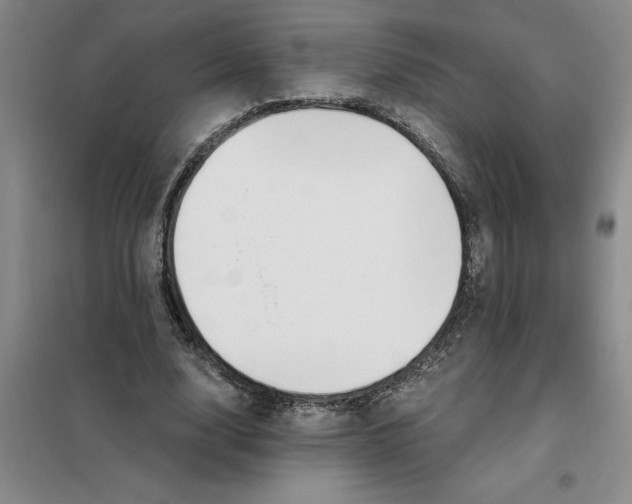 X0000098150632200805011408