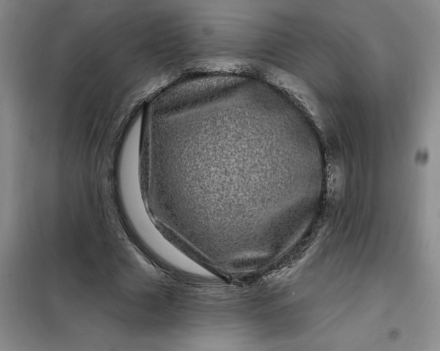 X0000098150633200805011408